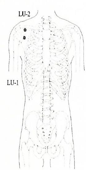 Shows acupuncture needle insertion points on body outline, by the shoulder/lung.