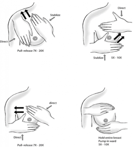 Illustration showing various motions to massage the breast to help with letdown of milk and easier latch.