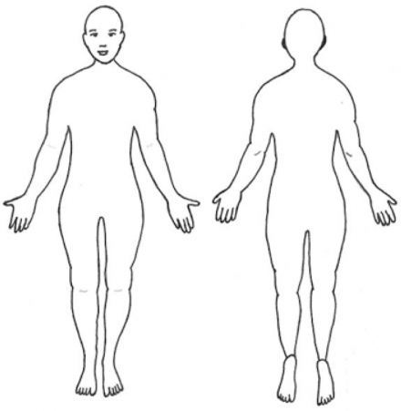 Body diagram