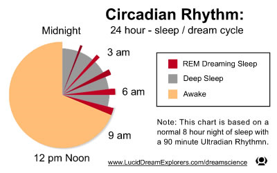 Pie chart illustration showing sleep/dream cycle