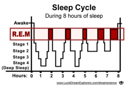 Illustration showing sleep cycle of different stages of sleep and REM