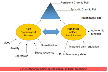 Genetic factors regulating psychological and pain processing