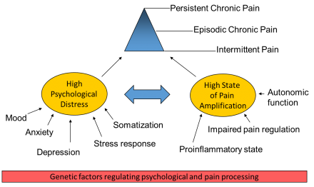 Genetic factors regulating psychological and pain processing