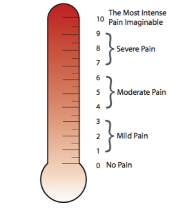 Iowa Pain Thermometer Revised (IPT-R)