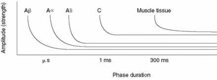 Muscle tissue electrical impulses