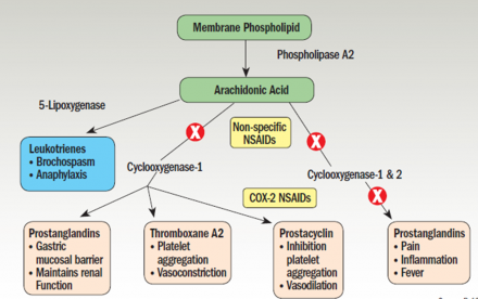 Mechanism of action of NSAIDs