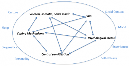 Schematic diagram of how a patient’s pain experience is complex