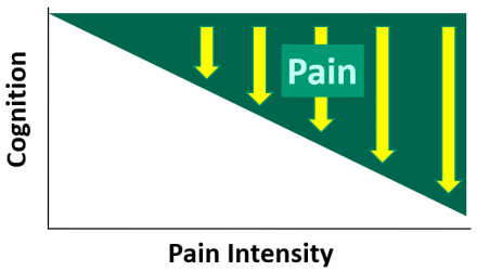 Pain interference with cognition