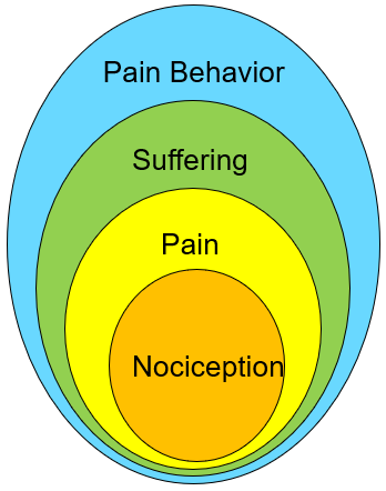 Loeser model of pain specific biopsychosocial model