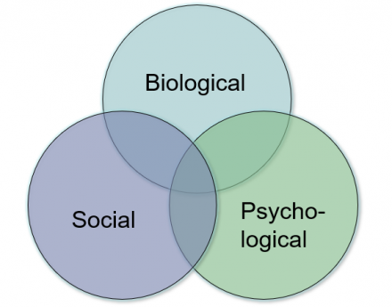 Generalized Biopsychosocial Model