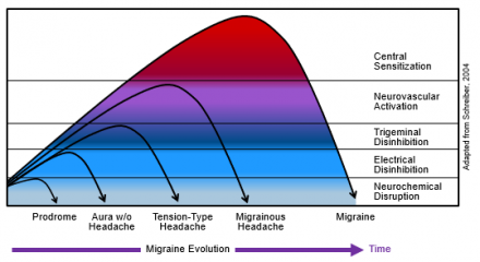 Chart showing migraine evolution