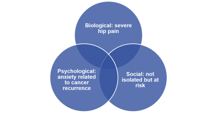Venn diagram of the biopsychosocial factors of Mary's cancer