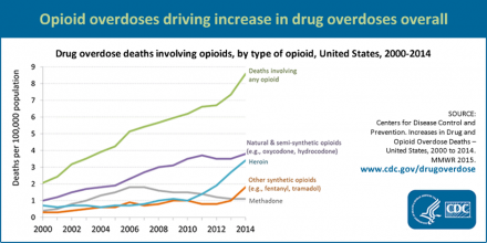 A graph depicting the increase of overdose death from opioids from 2000 to 2014