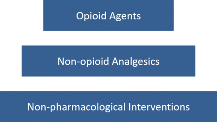 A step pyramid showing the three levels of treatment options for acute perioperative pain. The bottom tier includes non-pharmacological interventions; the middle tier includes non-opioid analgesics; and the top tier includes opioid agents.
