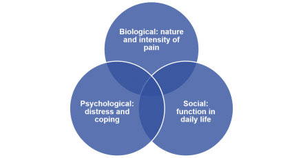 Venn diagram of the biopsychosocial factors of cancer