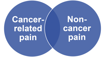 Venn diagram of cancer-related pain and non-cancer pain