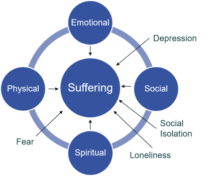 Graphic showing emotional, social, spiritual and physical elements all contributing to suffering.