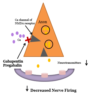 Image of anti-convulsant mechanism that creates decreased nerve firing