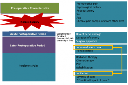 Flowchart showing pre-operative characteristics of thoracic surgery, Compliments of Timothy J. Brennan, PhD, MD University of Iowa