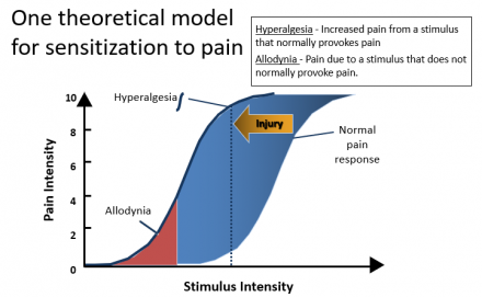 Chart showing pain intensity vs stimulus intensity and how in some cases pain intensity is greater than normal pain response.