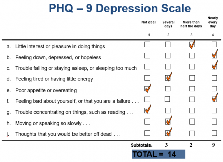 Mrs. Johnson's responses on the PHQ -9 Depression scale for a total of 14.