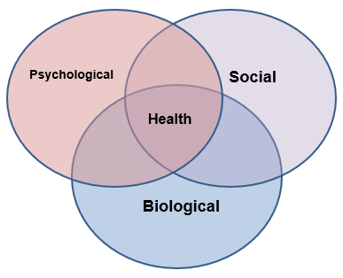 Venn diagram of the biopsychosocial factors of health