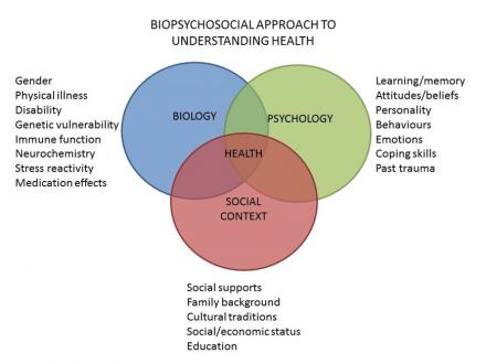 Venn diagram shows biological, psychological and social factors overlapping to affect health in the middle