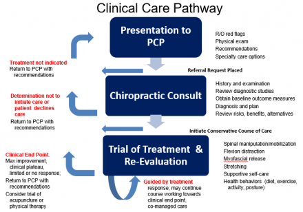 Clinical care pathway for chiropractic services starts with the presentation to PCP, then to a chiropractic consult, and trial of treatment and re-evaluation.