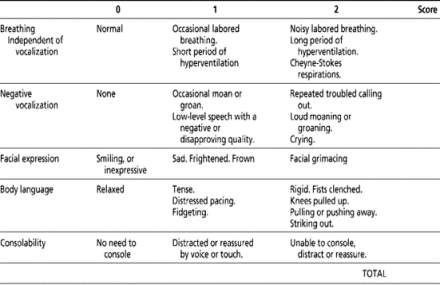 Scoring tool to determine pain in nonverbal older adult patients