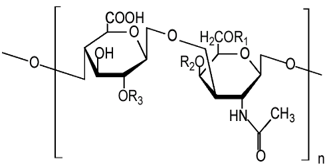 Illustration of chemical composition of Chondroitin.