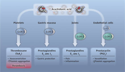 Illustration of the effects of arachidonic acid on platelets, gastric mucosa, joints, and endothelial cells.