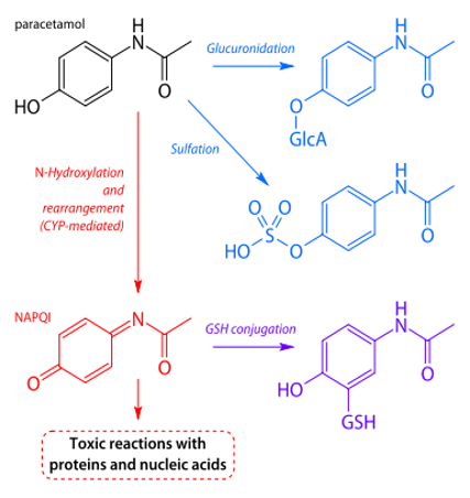 Illustration of chemical composition of Tylenol.
