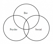 Biopsychosocial venn diagram