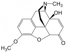 Chemical composition of oxycodone